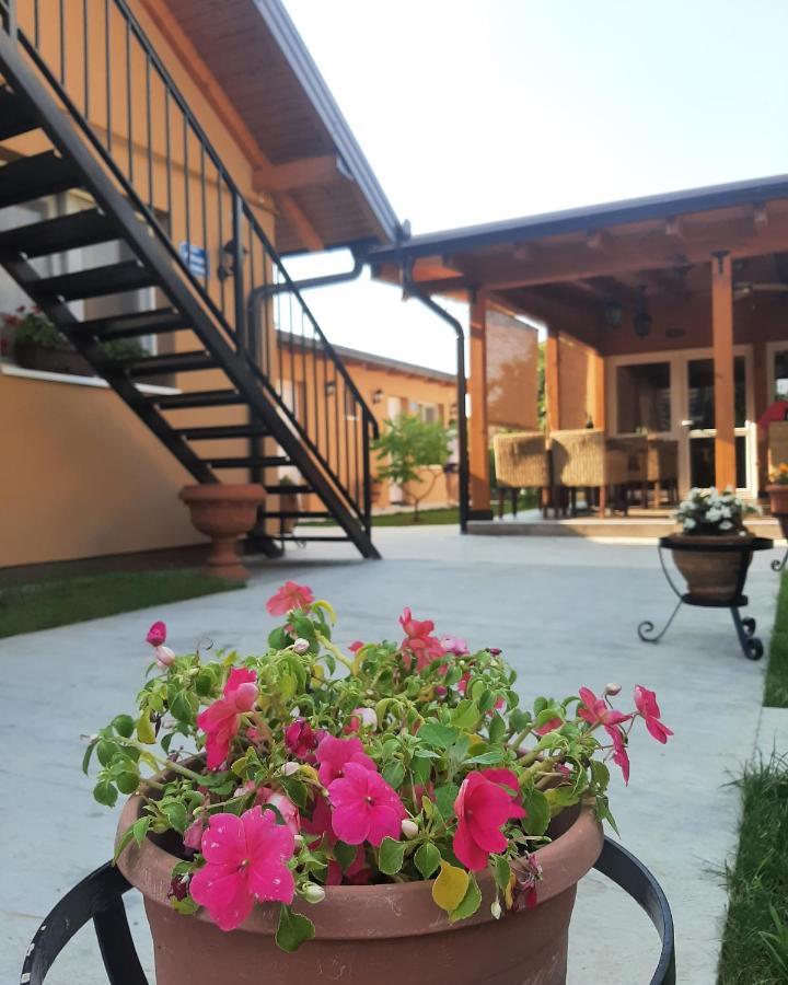 Villa Klara 诺威萨 外观 照片